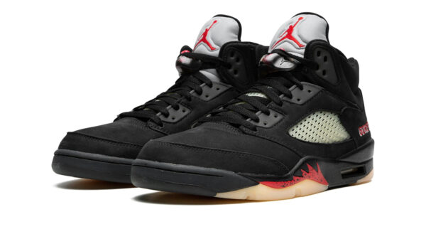 AIR JORDAN 5 WMNS "Gore-Tex"