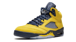 Air Jordan 5 Retro SE "Michigan"