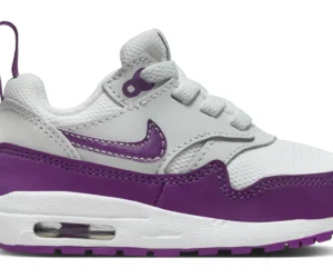 Nike Air Max 1 EasyOn Summit White White Viotech (I) - photo 1- Jersey4u