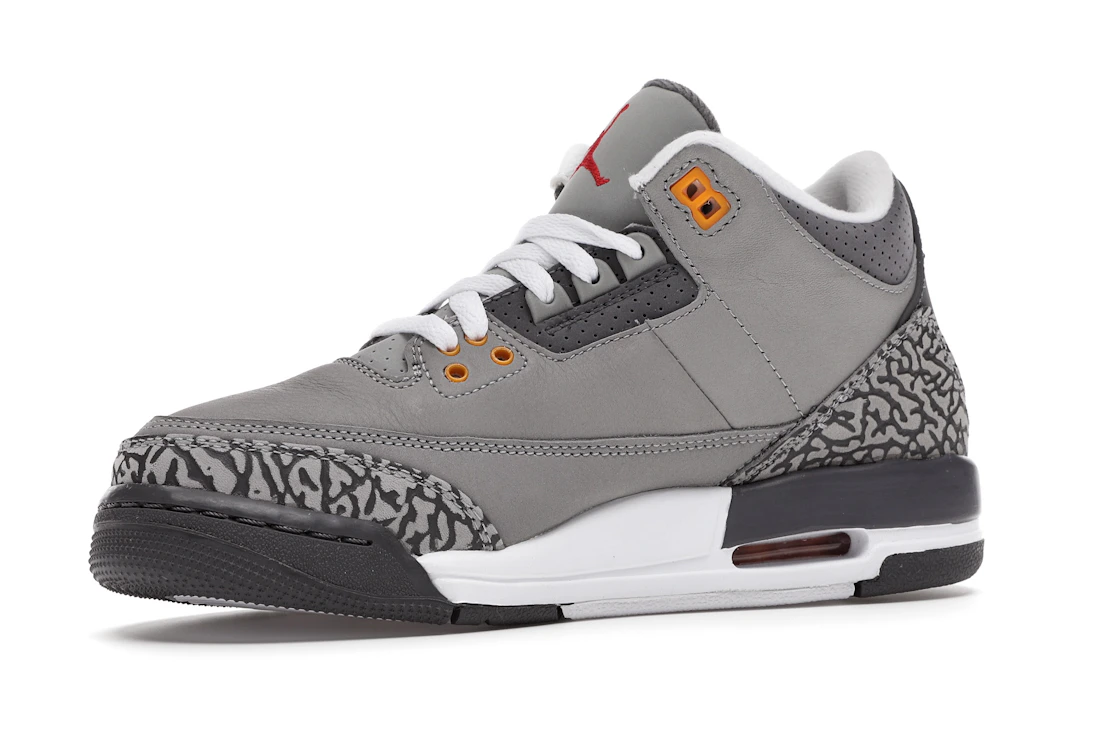 Jordan 3 Retro Cool Grey (2021) (GS) - photo 4- Jersey4u