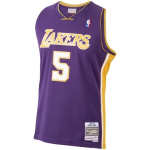 Robert Horry Los Angeles Lakers Mitchell & Ness 1999/00 Hardwood Classics Swingman Jersey - Purple photo 2 Jersey4u